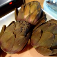 The Living at The Living in Delft