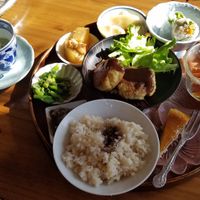 Calm lunch set at Padma in Kyoto