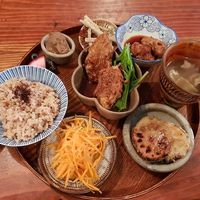 Vegan set at Padma in Kyoto