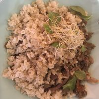basmati rice with eggplants & lentils at Bio Bento in Barcelona