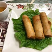 Egg Rolls and the weird sauce that didn't taste like sweet & sour sauce at Green Lotus Vegan in Gilbert
