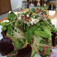 salad  at Backyard Cafe - Riverside in Phnom Penh