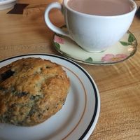 Vegan blueberry muffin and hot chocolate with soy. at Redwing Cafe in Seattle