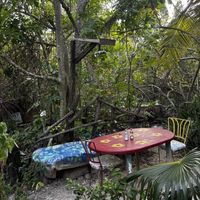   at Just Natural in Negril