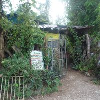 Just Natural Entrance at Just Natural in Negril