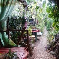 Dining in the big garden! at Just Natural in Negril