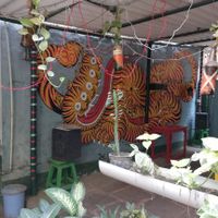 Vegan and raw at Vegan and Raw in Varanasi