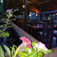 In the evening at Sen Thien Quan in Nha Trang