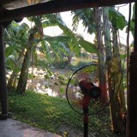 view from our table  at Sen Thien Quan in Nha Trang