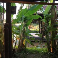 surroundings  at Sen Thien Quan in Nha Trang