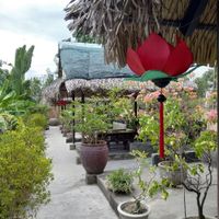 Garden at Sen Thien Quan in Nha Trang