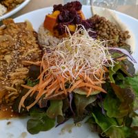 Plat principal del menú del dia at Integral Figueres in Figueres