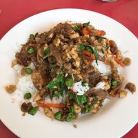 Steamed rice w stir-fried mushrooms & thai holy basil 👌 at Vegetarian Food - Maenamkwai Rd in Kanchanaburi