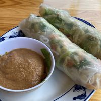 Summer rolls with peanut dip  at Chay Viet in Dresden