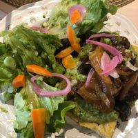 Salad  at Les Demoiselles de Montpellier in Montpellier