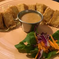 Tofu appetizer at Vegan House in Phoenix