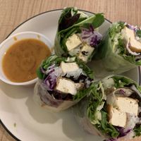 Spring Rolls were larger than anticipated (happy surprise!), and quite tasty!  at Vegan House in Phoenix