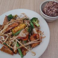 Buddha Delight with Soy Chicken at Vegan House in Phoenix