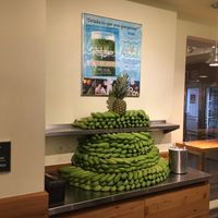 Inside the venue at Juice Generation - Grand Central in New York City