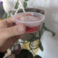 Vegan rose desert at Hummus in Barcelona