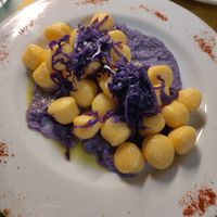 Gnocchi with pumpkin and red cabbage at Selezione Naturale in Turin