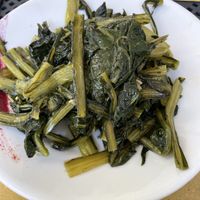   at Selezione Naturale in Turin