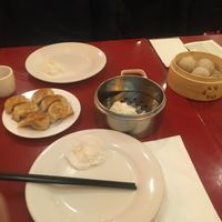 Dumplings  at Bodhi Kosher Vegetarian Restaurant in New York City