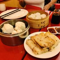 Amazing delicious dumplings and turnip starter   at Bodhi Kosher Vegetarian Restaurant in New York City