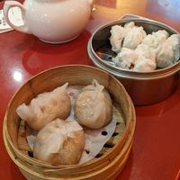 dim sums at Bodhi Kosher Vegetarian Restaurant in New York City