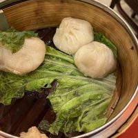 Soup dumplings (came with five)   at Bodhi Kosher Vegetarian Restaurant in New York City