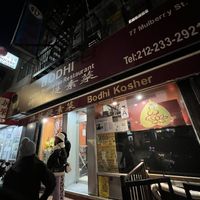   at Bodhi Kosher Vegetarian Restaurant in New York City