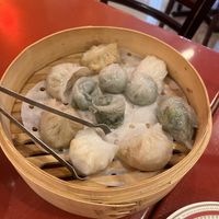Steamed dumpling plater  at Bodhi Kosher Vegetarian Restaurant in New York City