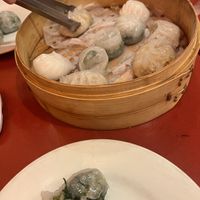 Dim sum starter  at Bodhi Kosher Vegetarian Restaurant in New York City