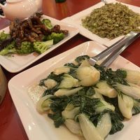 Shiitake mushrooms and broccoli, cedar pine fried rice and baby bok Choi   at Bodhi Kosher Vegetarian Restaurant in New York City