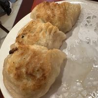   at Bodhi Kosher Vegetarian Restaurant in New York City