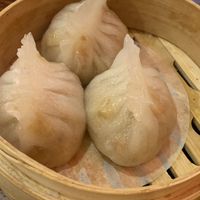 Dim Sum  at Bodhi Kosher Vegetarian Restaurant in New York City