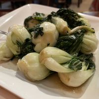 baby bok choy!  at Bodhi Kosher Vegetarian Restaurant in New York City