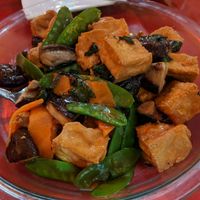 Tofu with mushroom and basil at Bodhi Kosher Vegetarian Restaurant in New York City