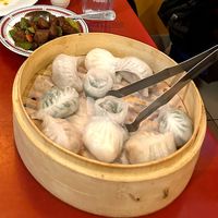 Dumpling platter  at Bodhi Kosher Vegetarian Restaurant in New York City