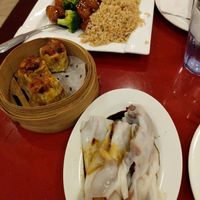 Lunch special and two kinds of dimsum. at Bodhi Kosher Vegetarian Restaurant in New York City