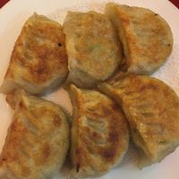  Pan fried dumplings at Bodhi Kosher Vegetarian Restaurant in New York City