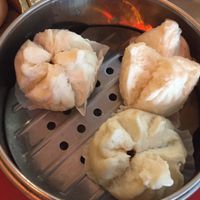 Steamed BBQ buns at Bodhi Kosher Vegetarian Restaurant in New York City