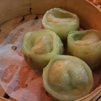 Green dumplings at Bodhi Kosher Vegetarian Restaurant in New York City