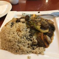 Lunch special  at Bodhi Kosher Vegetarian Restaurant in New York City