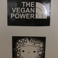 Stickers at Alaska Bar in Berlin