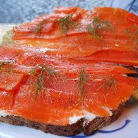  at Alaska Bar in Berlin