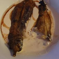  at Alaska Bar in Berlin