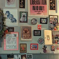  at Alaska Bar in Berlin