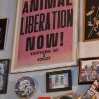  at Alaska Bar in Berlin