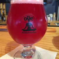 Hibiscus Rose Kombucha at One Kombucha in Lake Park